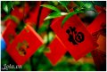 Mùa Xuân Phúc đến mọi nhà