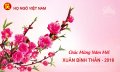 Chúc mừng xuân Bính Thân