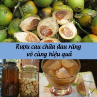 Rượu cau chữa sâu răng, phương pháp dân gian rất hiệu quả
