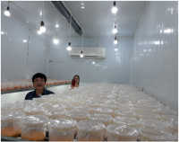 Đoàn họ Ngô VN thăm TT Nghiên cứu và phát triển nấm