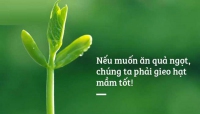 Luật Nhân quả trong đời sống xã hội và khoa học