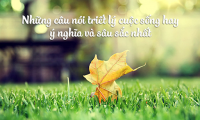 Những câu nói hay mang triết lý về cuộc sống