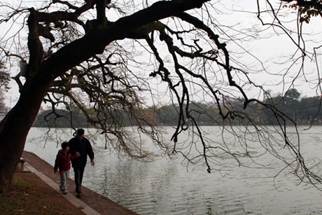 Sớm đông bên hồ