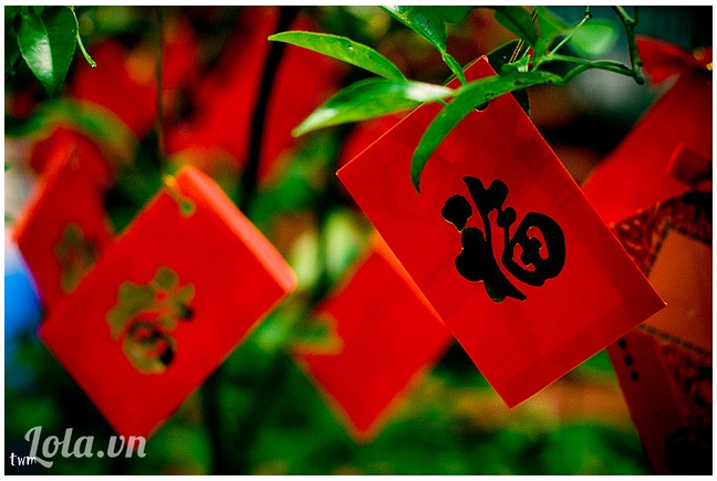 Mùa Xuân Phúc đến mọi nhà
