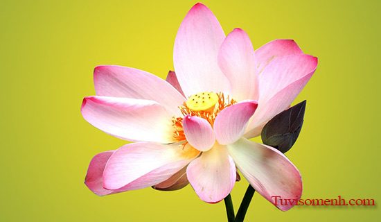 Tục lập bàn thờ vọng