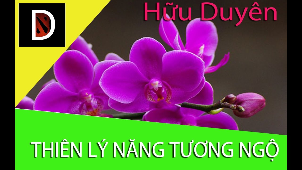 Ngàn dặm duyên may tình vẫn gặp