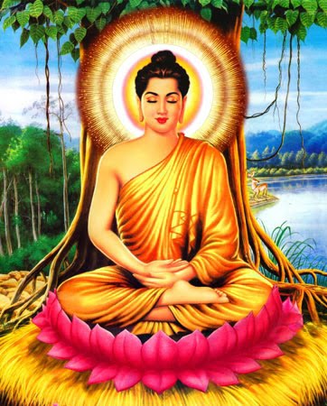 Hình minh họa