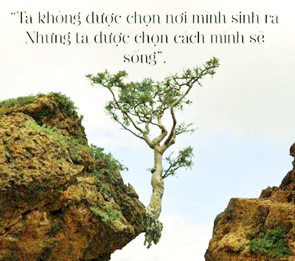 Hình minh họa