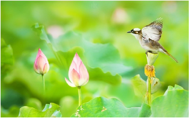 Khoe khoang cái gì thì chính là trong lòng đang khuyết thiếu cái ấy